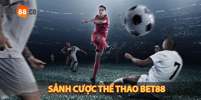Khám phá siêu phẩm thể thao tại sảnh CMD Bet